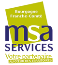 MSA Services